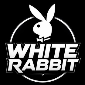 White Rabbit