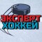 Хоккейный эксперт