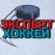 Хоккейный эксперт