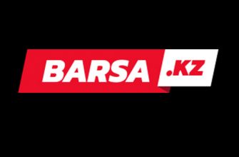 Логотип сайта BarsaKz