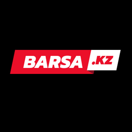 Логотип сайта BarsaKz