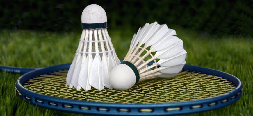 Популярные стратегии ставок на бадминтон в лайве: виды ставок, правила подбора матчей и примеры расчета ставок по стратегиям