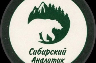 Логотип Сибирский аналитик