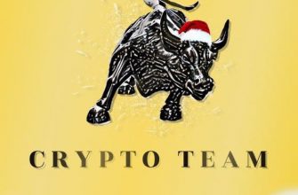 Crypto Team Владимир Немиров