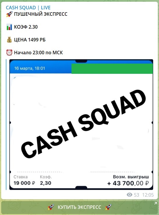 Стоимость экспресса на канале Telegram CASH SQUAD