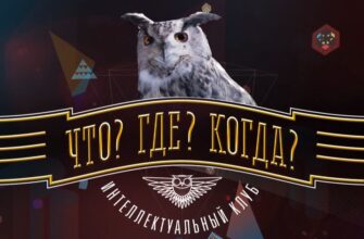 Как сделать ставку на игру