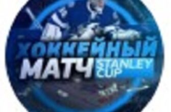 Хоккейный матч Stanley Cup
