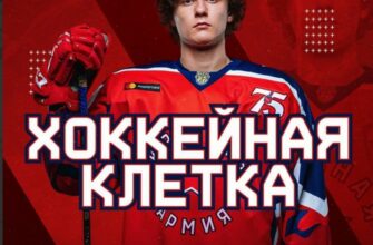 Хоккейная клетка