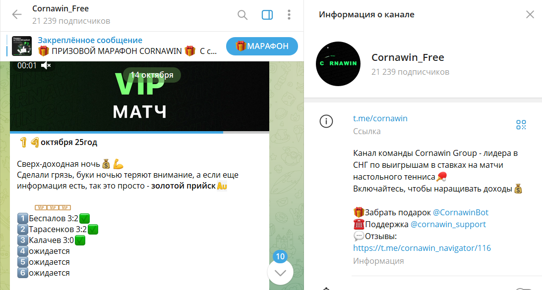 Обзор проекта Cornawin Group со ставками на настольный теннис
