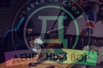Денежный вор