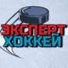 Хоккейный эксперт Приватный канал