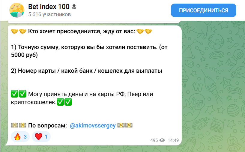 Bet index 100 цены