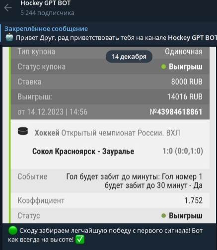 Отчет о выигрыше