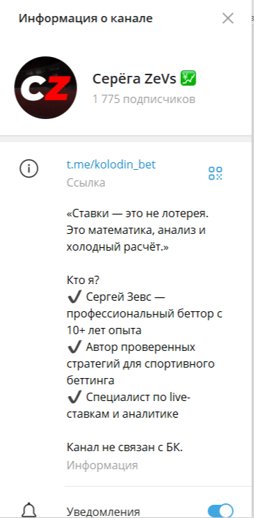Серега ZeVs Описание канала