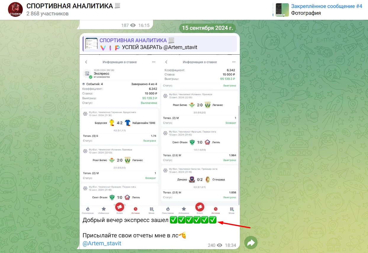 «СПОРТИВНАЯ АНАЛИТИКА» статистика проекта