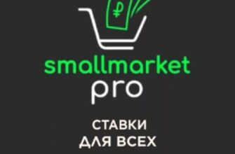Small Market Pro Изображение записи