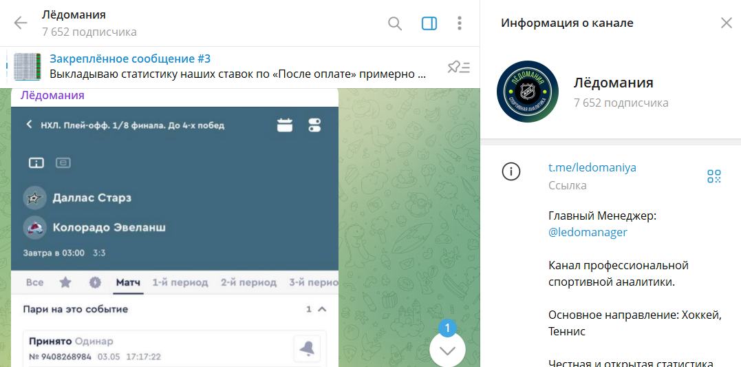 Вводная информация по проекту со ставками Ледомания