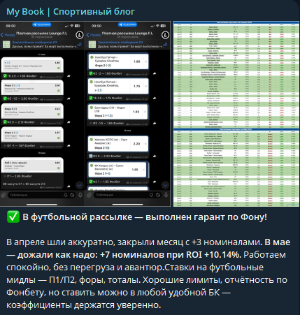 My Book Спортивный блог статистика