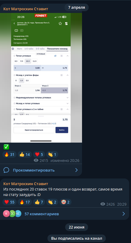 Обзор ТГ-канала Кот Матроскин Ставит