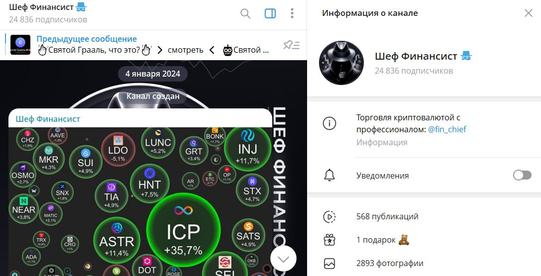 Информация по каналу в телеграмме Шеф финансиста