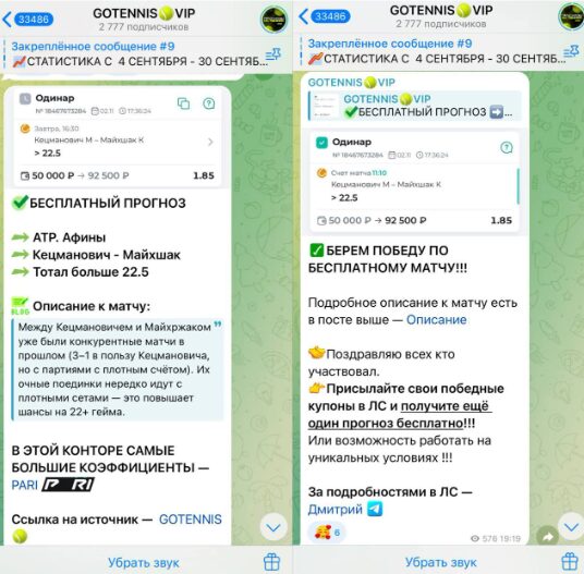 Статистика на канале в телеграмме GOTENNIS.VIP