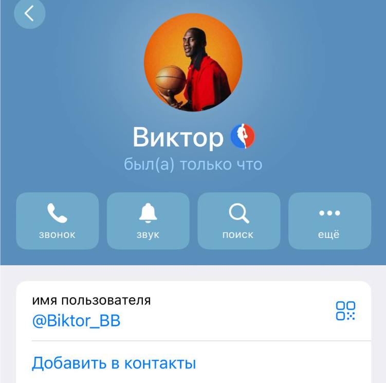 Описание телеграм канала Прогнозы на баскетбол