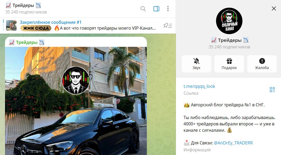 Обзор телеграм-канала Трейдеры о статистикой и отзывами