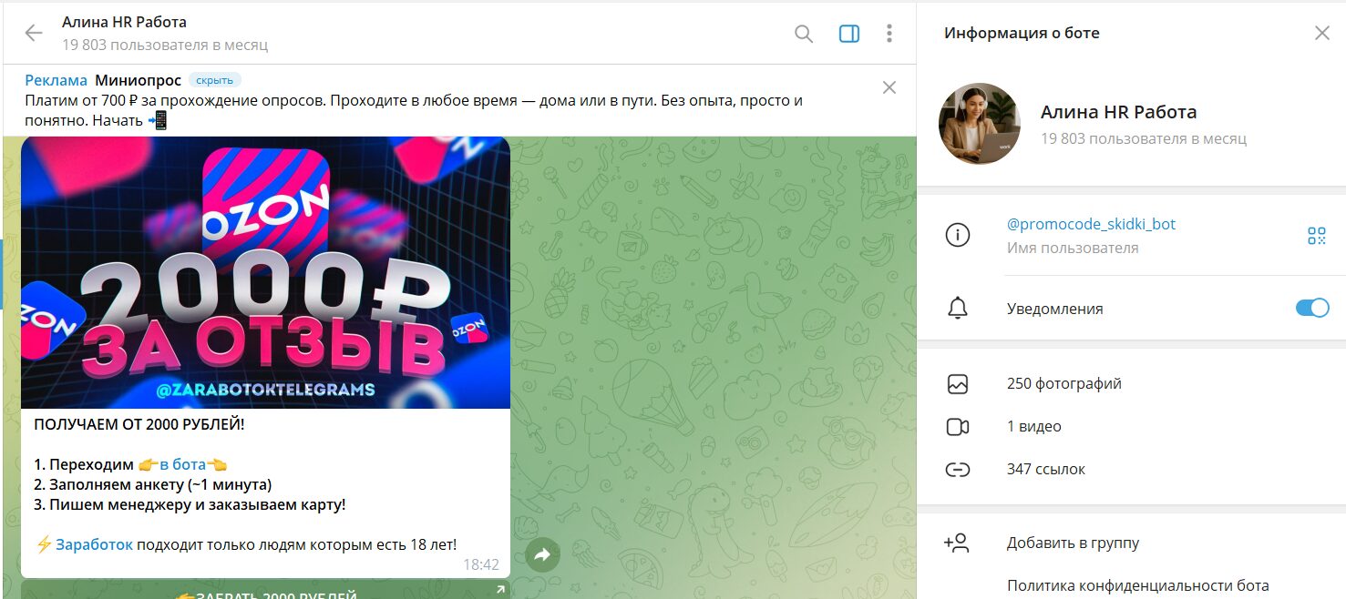 Описание приложения в телеграме Алина HR Работа