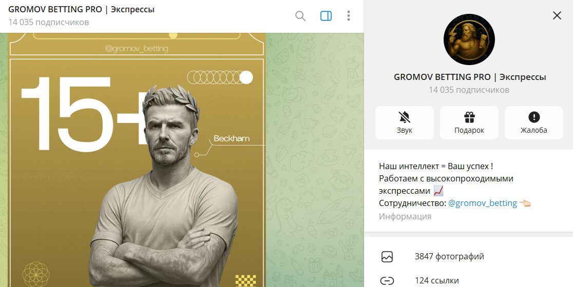 Статистика по каналу в телеграмме GROMOV BETTING PRO