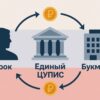 Игрок → ЦУПИС → БК