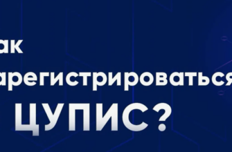 Как зарегистрироваться в ЦУПИС