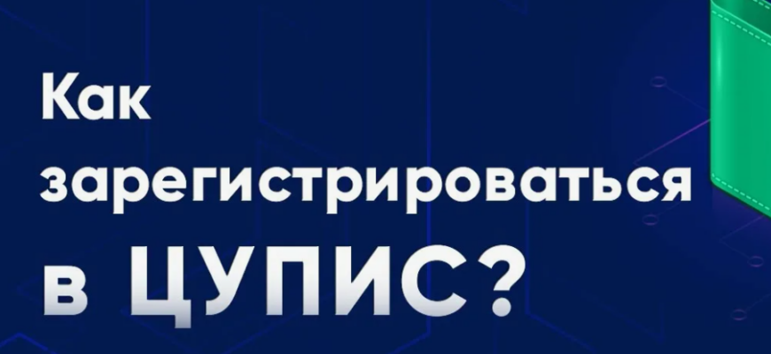 Как зарегистрироваться в ЦУПИС