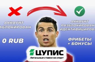 Разблокировка ЦУПИС