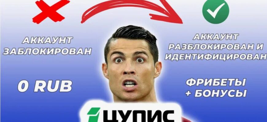 Разблокировка ЦУПИС