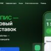 Интерфейс официального сайта ЦУПИС