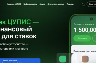 Интерфейс официального сайта ЦУПИС