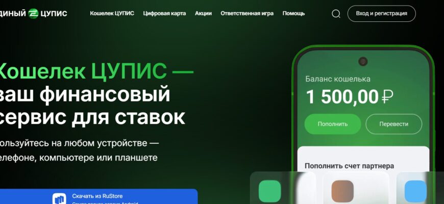 Интерфейс официального сайта ЦУПИС