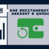 Как восстановить ЦУПИС