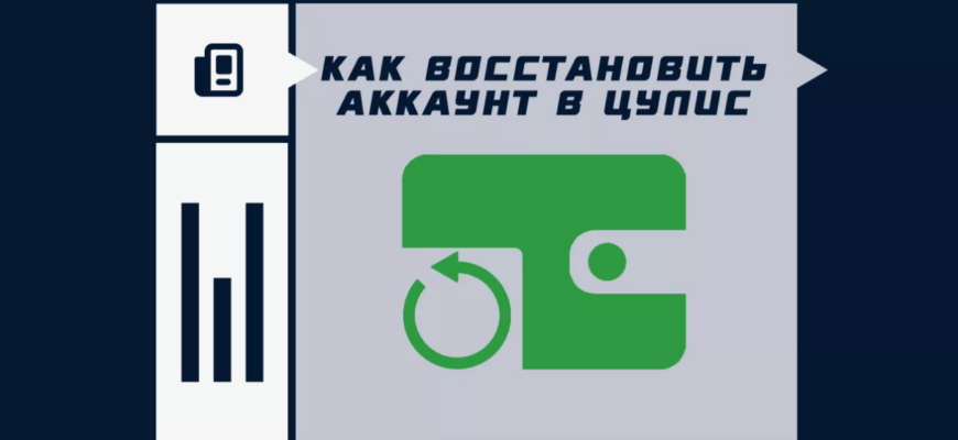 Как восстановить ЦУПИС