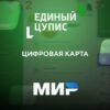 Мобильная карта ЦУПИС