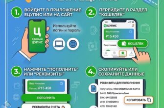 Как узнать реквизиты ЦУПИС