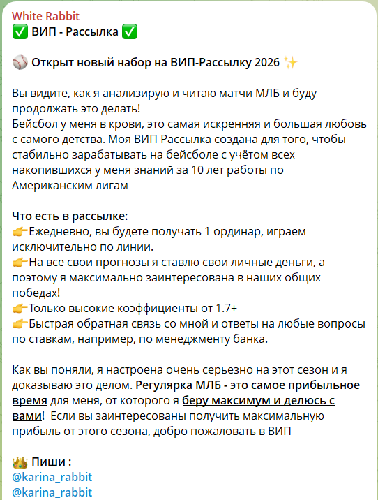 Закрытая подписка на канале Telegram White Rabbit