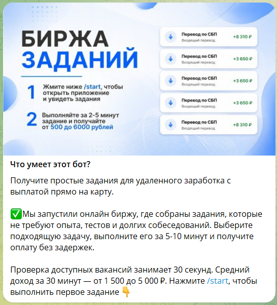 Что известно о боте телеграмм Биржа бонус @birzhaut_bot