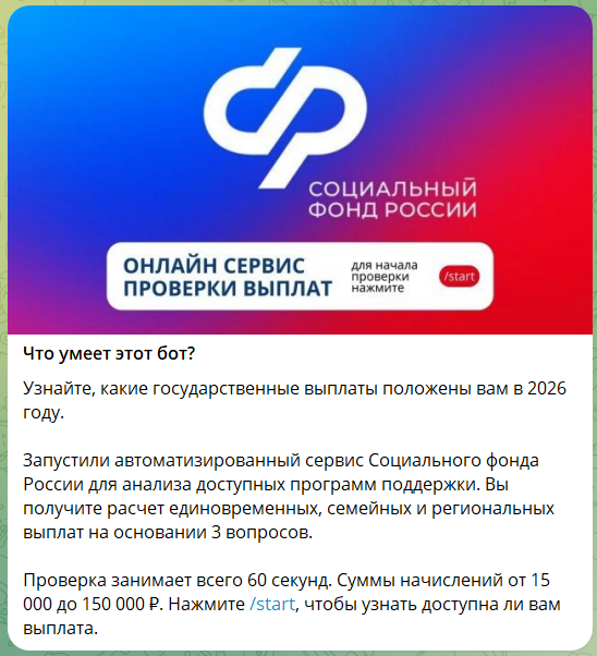 Что известно о приложении ИНФОНД @tvoinfondibot