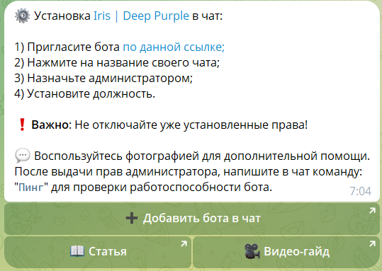Подключение и настройка бота в телеграме Iris Deep Purple
