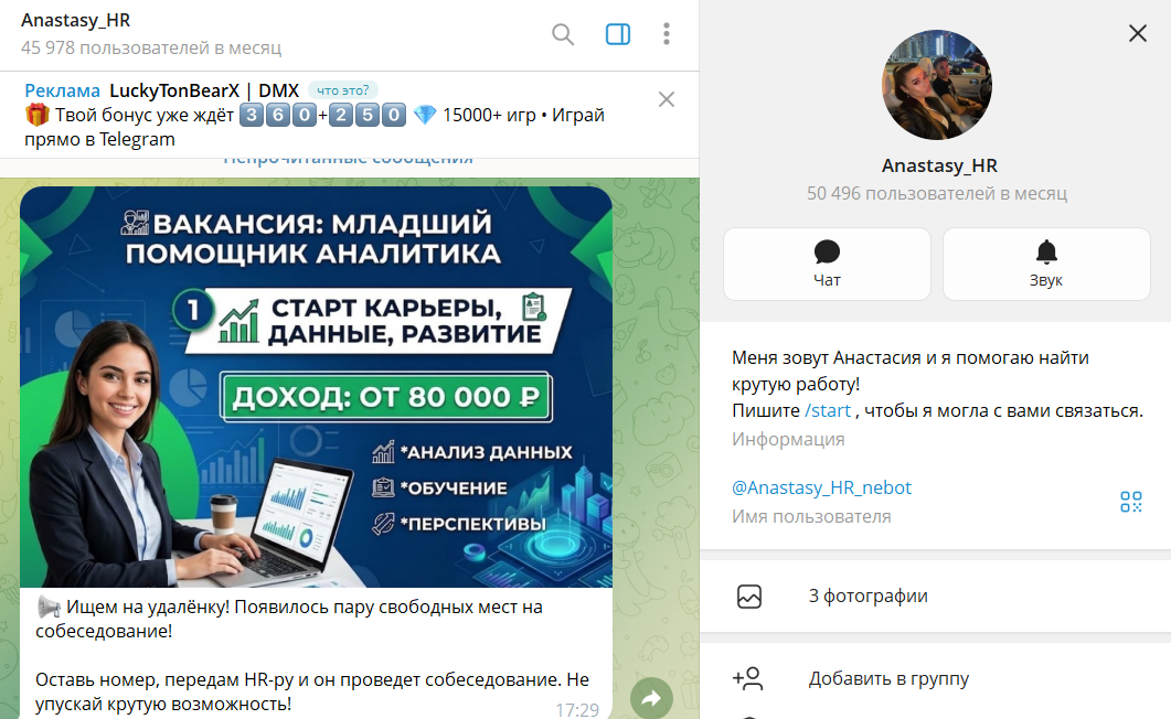 Описание приложения в телеграмме Anastasy_HR