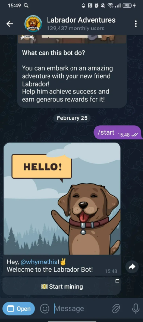 Особенности игры Labrador Adventures