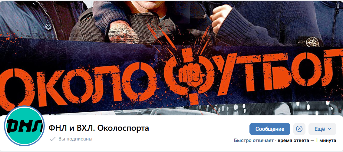 Сведения по группе ВК ФНЛ и ВХЛ. Околоспорта