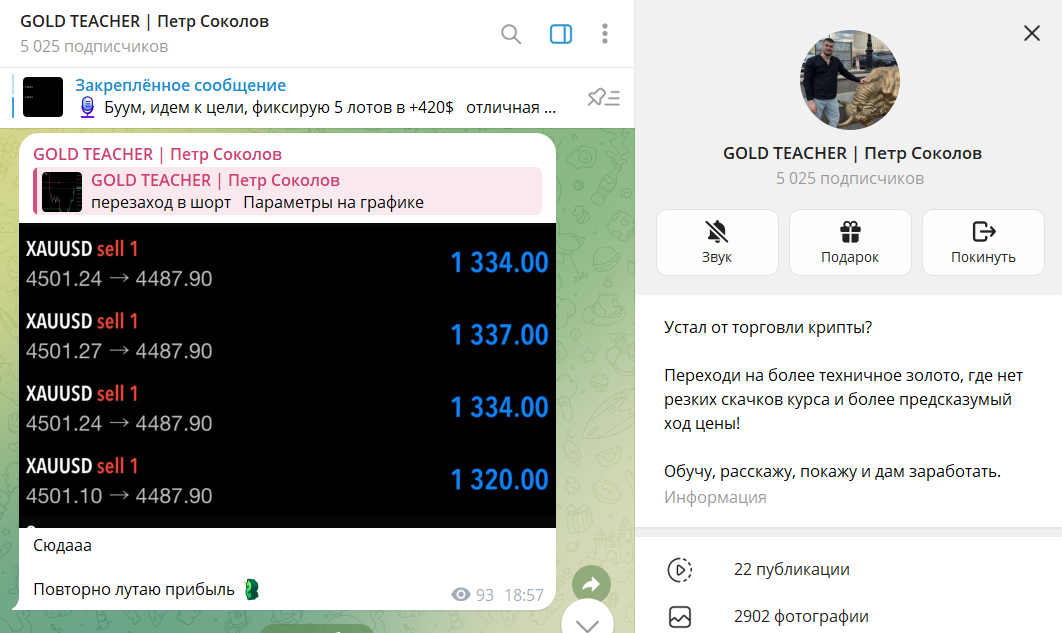 Вводные данные по каналу Телеграм GOLD TEACHER Петр Соколов