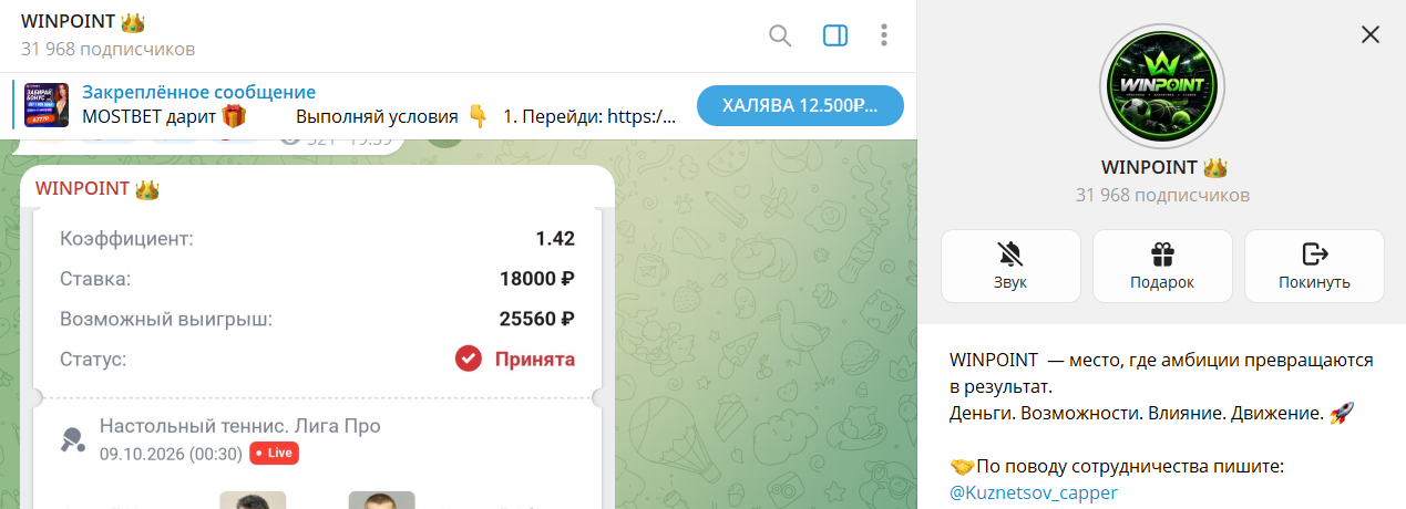 Дата регистрации канала Telegram WINPOINT со ставками